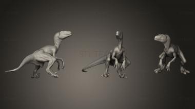 3D model Raptor test (STL)